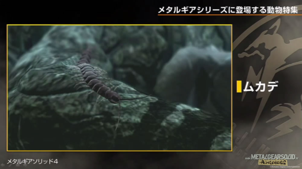 Kojima Station : Les animaux dans Metal Gear (Solid)