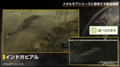 Kojima Station : Les animaux dans Metal Gear (Solid)